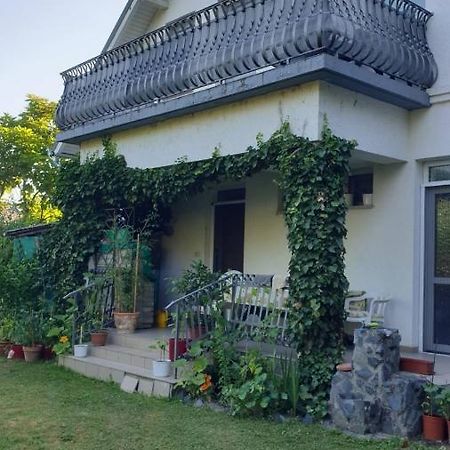 Ilona Apartmanok บาลาตงโบกลาร์ ภายนอก รูปภาพ
