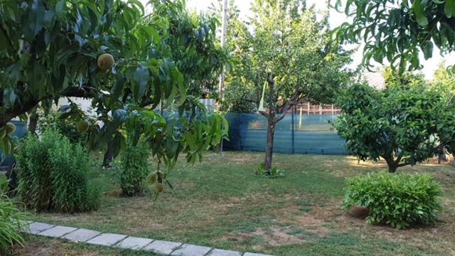 Ilona Apartmanok บาลาตงโบกลาร์ ภายนอก รูปภาพ